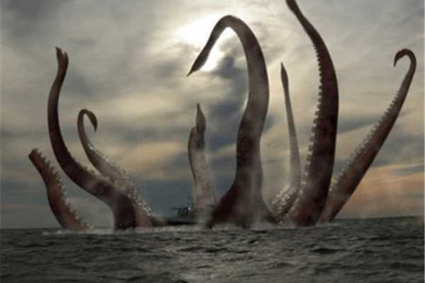 Kraken 19 at